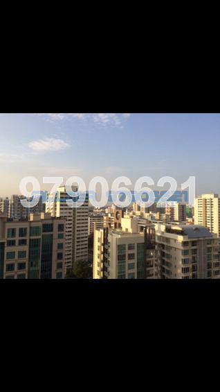 Butterworth 8 (D15), Condominium #83663562